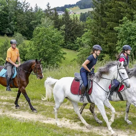 Reitpark Gstoettner فندق Schönau im Mühlkreis
